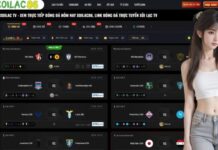 The Digital Revolution of Football Fandom and Real Time Data The Science of Following the Score