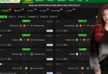 Elevate Your Football Passion with Premium Coverage and Detailed Standings Why Quality Streaming Matters for Every Fan